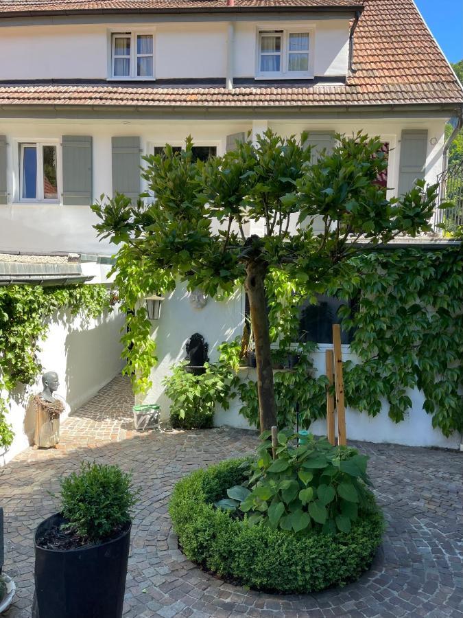 Murmeltier Hausen im Tal Bagian luar foto